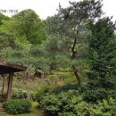 분당-377 이미지