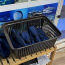 오천수족관 이미지