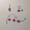 블루마카워시 | 안암쿠키 안암카페 &lt;&lt;쿠키쿠코&gt;&gt;에서