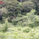 인제주유소 이미지