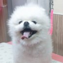 까까뭉치 이미지