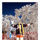 (주)하이원 이미지