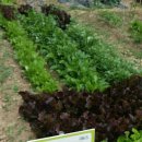 준모농장 이미지