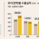 중국에서 인기있는 한국 과일은? 이미지