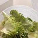 한세농장 이미지