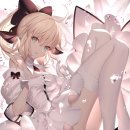 스테이 릴리 이미지