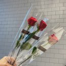퓨얼리영플라워