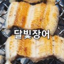 [안성 장어 맛집] 직접 구워주는 서비스까지! 안성 회식 장소로 딱 좋은 ‘달빛장어’ 방문 후기