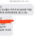 대도산전