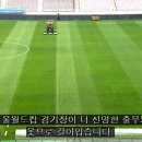 잔디색