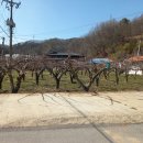 공주시사곡면보건지소 | 공주시주택 사곡면 신영리 전원주택 매매