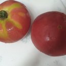 역말농장 이미지