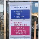 미녀들의스킨앤바디