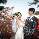 영상으로 만나는 스냅 이미지