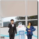 광탄시장 이미지