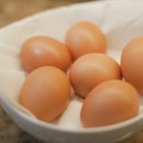 짐투짐 여성전용 PT 이미지