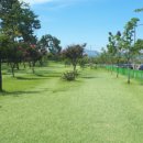 근린공원(1호) 이미지