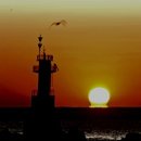 동해일출 이미지