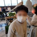 리프패럿광주 - 북구 하서로483번길 8 | 리프패럿광주