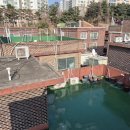 중앙동195 이미지