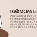 삼성디지탈솔루션주 이미지