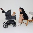 티나쏘 | 낫쏘빅 네로맥스3 일체형 펫모차 추천 내돈내산 후기