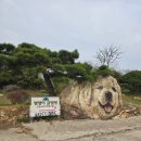 전남환경 | [전남글램핑] 광주근교글램핑 전남캠핑장 전남글램핑장 전남카라반 '땡땡이글램핑' 리얼후기