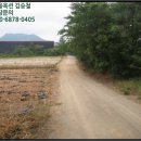 작천면사무소 이미지