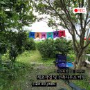 별시도룩 이미지