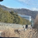 일도농장 | [명원다육, 사바나농장] 서울 아프리카식물, 코노피튬농장 추천 후기