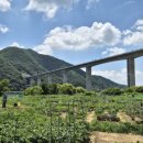 아양농장 이미지