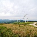 삼양목장 이미지