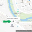 개화(아) | 경기도 안양 충훈 벚꽃길 벚꽃 개화 상태 혼잡도 축제 전 실제 방문 후기