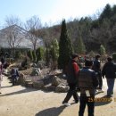 경상남도 수목원(열대식물원) Daum카페