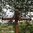 대전수미초등학교 이미지