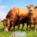 국립축산과학원 동물병원 이미지