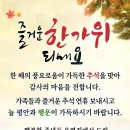 늘 평안과 행운이 가득하시길요 이미지