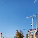 봉자짬뽕 이미지