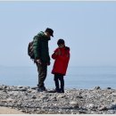 자갈마당 이미지