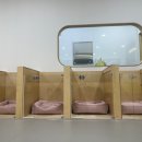 하이몽몽 이미지