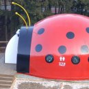 제암산 무당벌레화장실 이미지