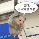 유도리 | 나 다이어트 언제 시작했더라..유도리 스위치온 짧은 후기(-2kg)