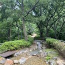 선정공원 이미지