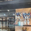 성산아쿠아비치호텔 이미지