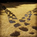 소리코티지 이미지