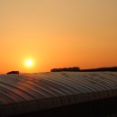 늘푸른농장(2) 이미지