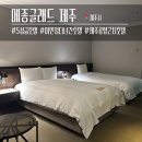 글래드 휘트니스 시청점 | 메종글래드 제주 | 공항 근처 5성급 가성비 호텔, 프리미엄 트윈룸 후기 &amp; 셔틀·수영장·주차 총정리