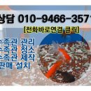 강동수족관
