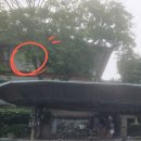 풀앤밸리 | 발리 여행:: 만디라 비치 리조트 앤 스파 신혼여행 후기, 한국인 거의 없는 발리 풀빌라 숙소 추천