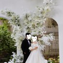 희재장식 이미지